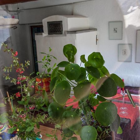 Bed And Breakfast Da Toldo Russo Bagian luar foto