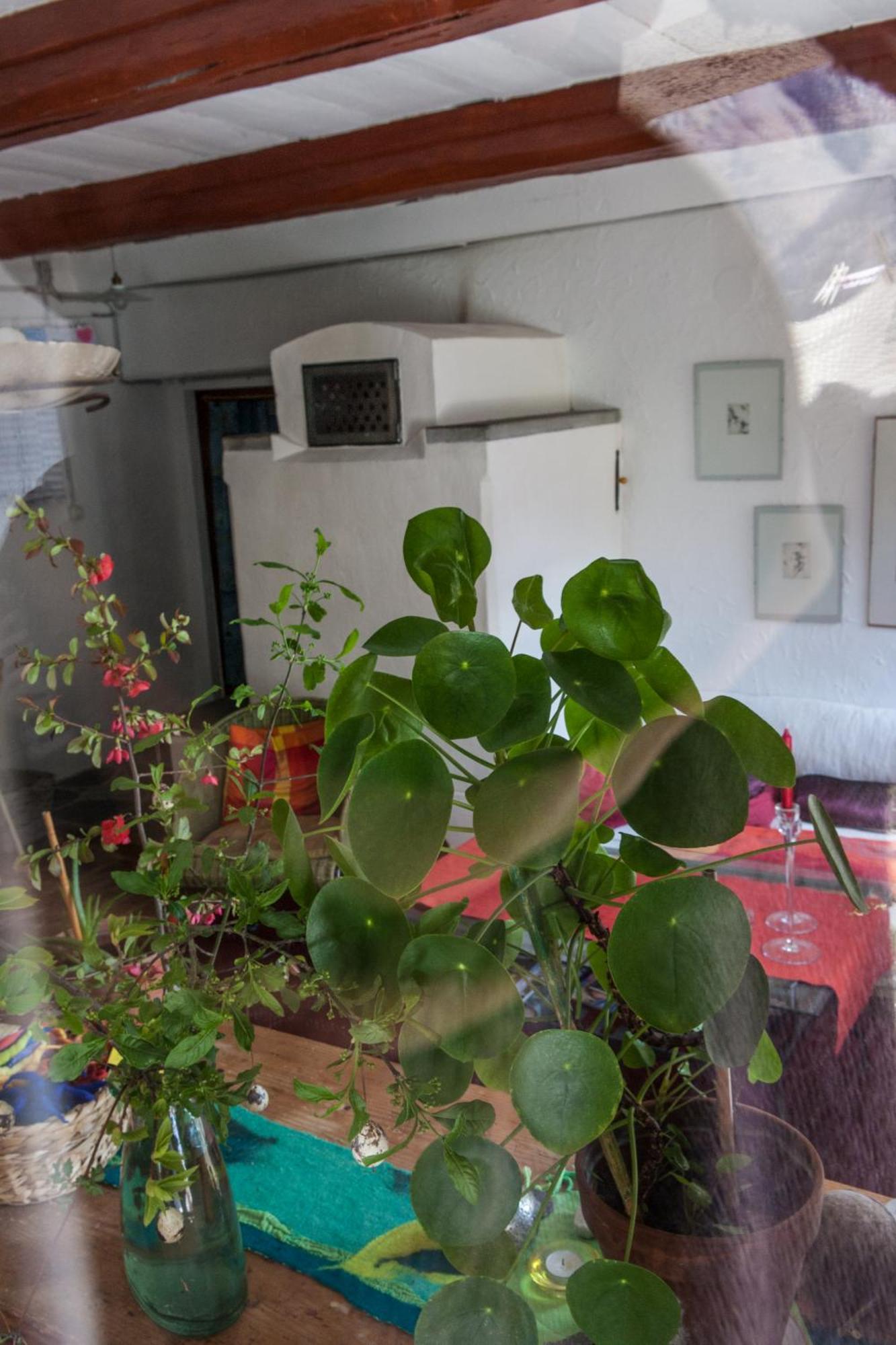 Bed And Breakfast Da Toldo Russo Bagian luar foto