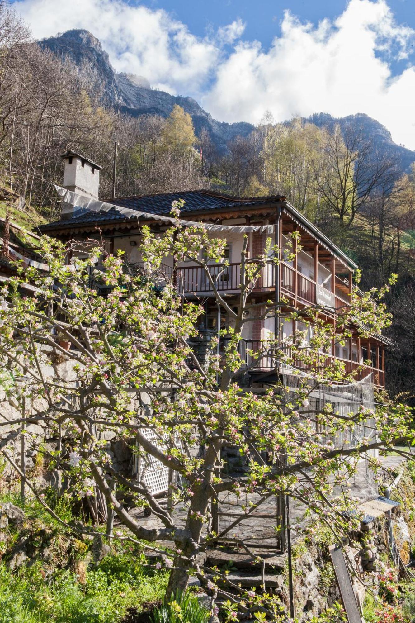 Bed And Breakfast Da Toldo Russo Bagian luar foto